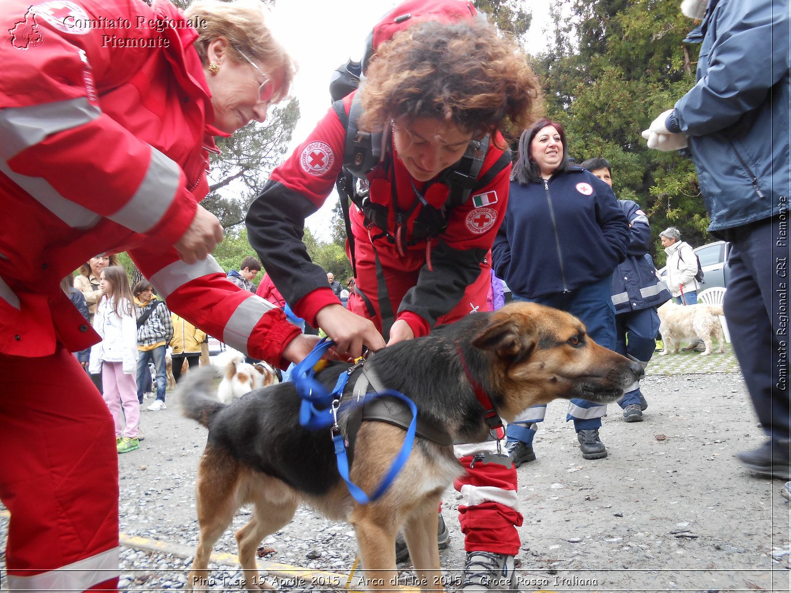 Pino T.se 19 Aprile 2015 - Arca di No 2015 - Croce Rossa Italiana- Comitato Regionale del Piemonte