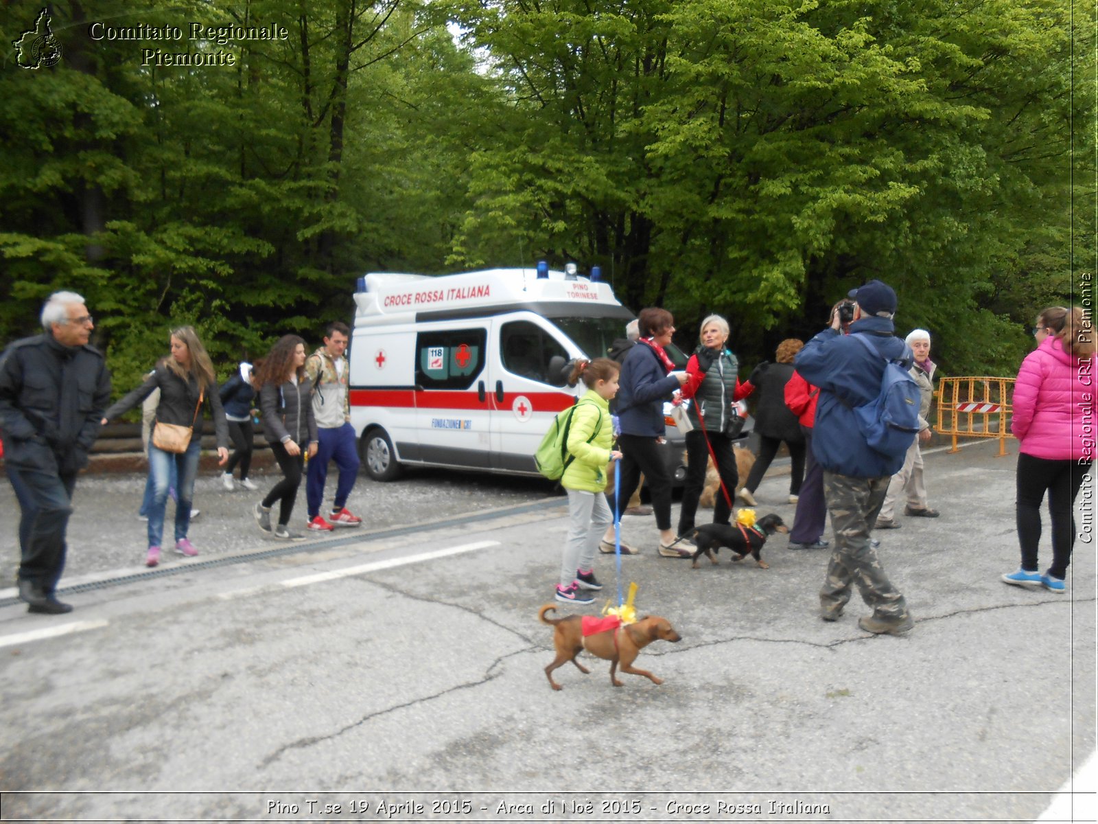 Pino T.se 19 Aprile 2015 - Arca di No 2015 - Croce Rossa Italiana- Comitato Regionale del Piemonte