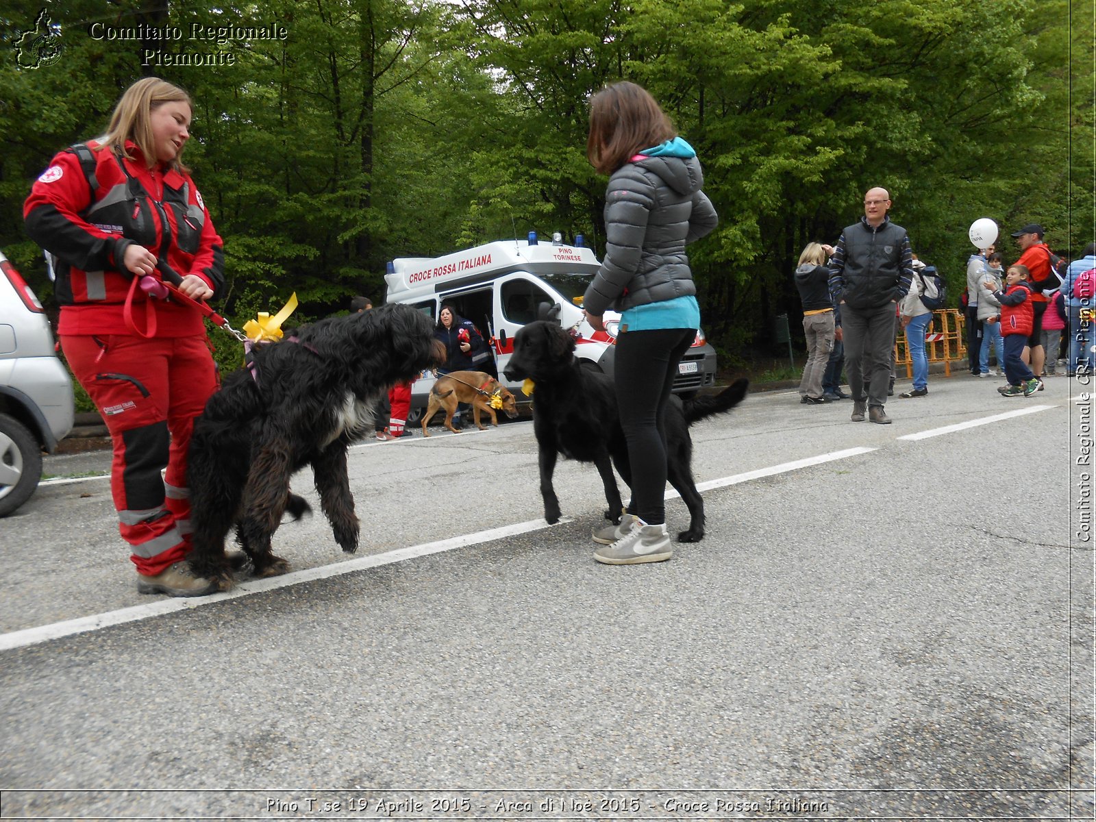 Pino T.se 19 Aprile 2015 - Arca di No 2015 - Croce Rossa Italiana- Comitato Regionale del Piemonte