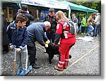 Pino T.se 19 Aprile 2015 - Arca di Noè 2015 - Croce Rossa Italiana- Comitato Regionale del Piemonte