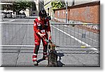 Ivrea 2 Maggio 2015 - Campo Scuola Regionale - Croce Rossa Italiana- Comitato Regionale del Piemonte