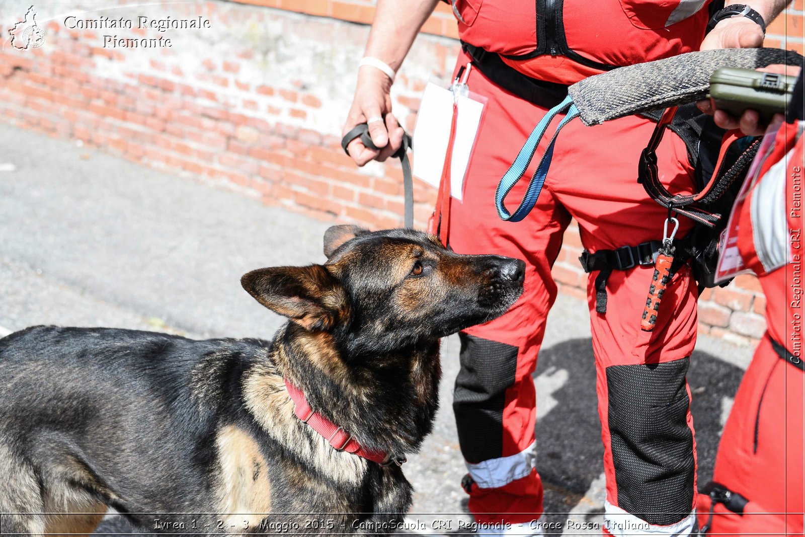 Ivrea 1 - 2 - 3 Maggio 2015 - CampoScuola CRI Regionale - Croce Rossa Italiana- Comitato Regionale del Piemonte