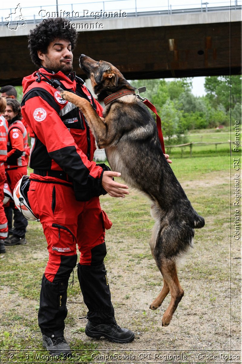 Ivrea 1 - 2 - 3 Maggio 2015 - CampoScuola CRI Regionale - Croce Rossa Italiana- Comitato Regionale del Piemonte