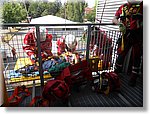 Cuneo 6 Giugno 2015 - Gara Soccorso Organizzato - Croce Rossa Italiana- Comitato Regionale del Piemonte