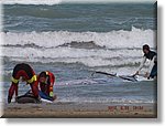 Senigallia 26 Settembre 2015 - Gara Nazionale 1 Soccorso - Croce Rossa Italiana- Comitato Regionale del Piemonte