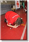 Ciri 17 Ottobre 2015 - Mass Training BLS e MSP - Croce Rossa Italiana- Comitato Regionale del Piemonte