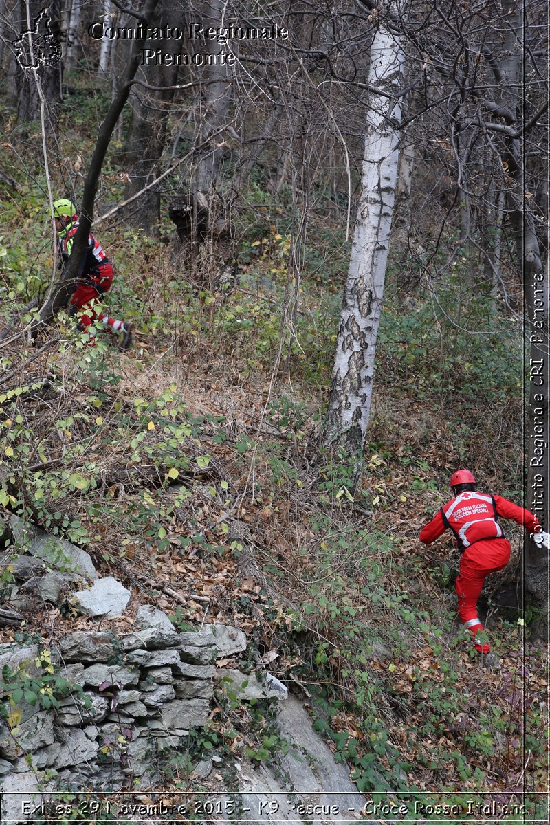 Exilles 29 Novembre 2015 - K9 Rescue - Croce Rossa Italiana- Comitato Regionale del Piemonte