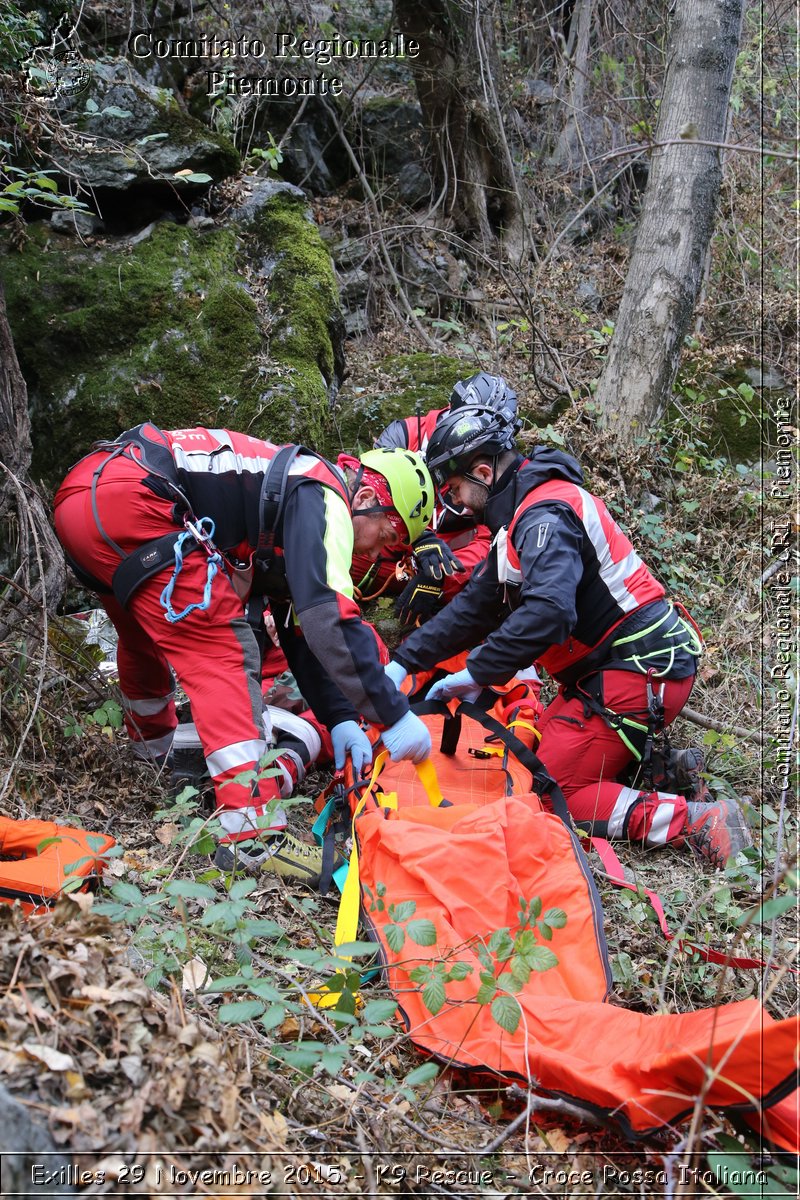 Exilles 29 Novembre 2015 - K9 Rescue - Croce Rossa Italiana- Comitato Regionale del Piemonte