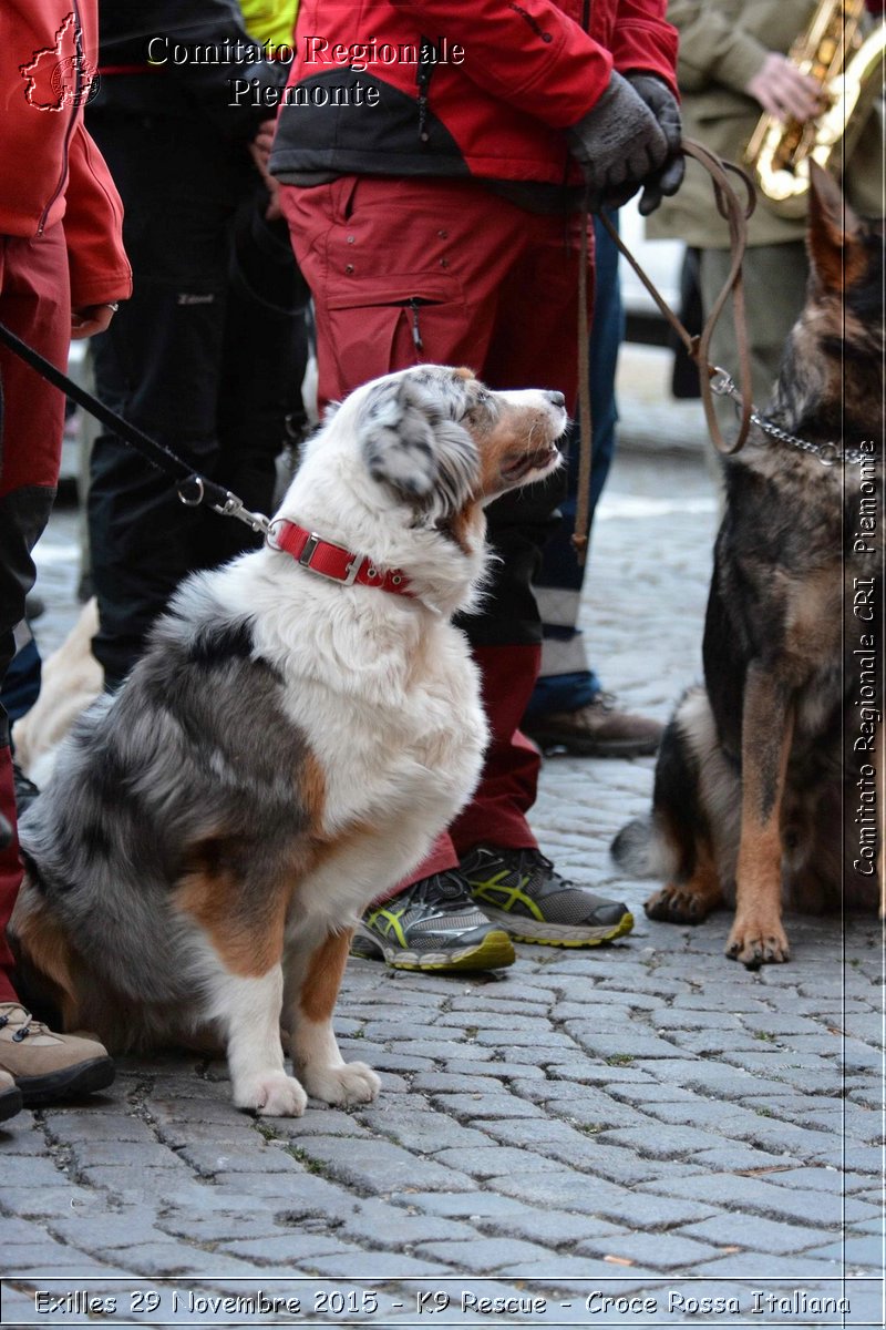 Exilles 29 Novembre 2015 - K9 Rescue - Croce Rossa Italiana- Comitato Regionale del Piemonte