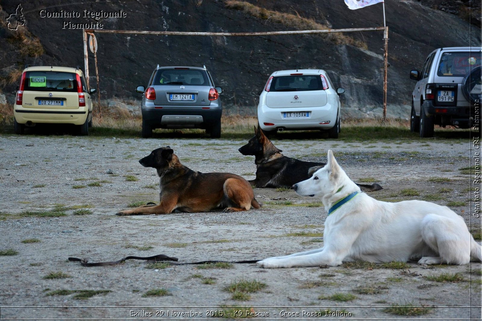 Exilles 29 Novembre 2015 - K9 Rescue - Croce Rossa Italiana- Comitato Regionale del Piemonte