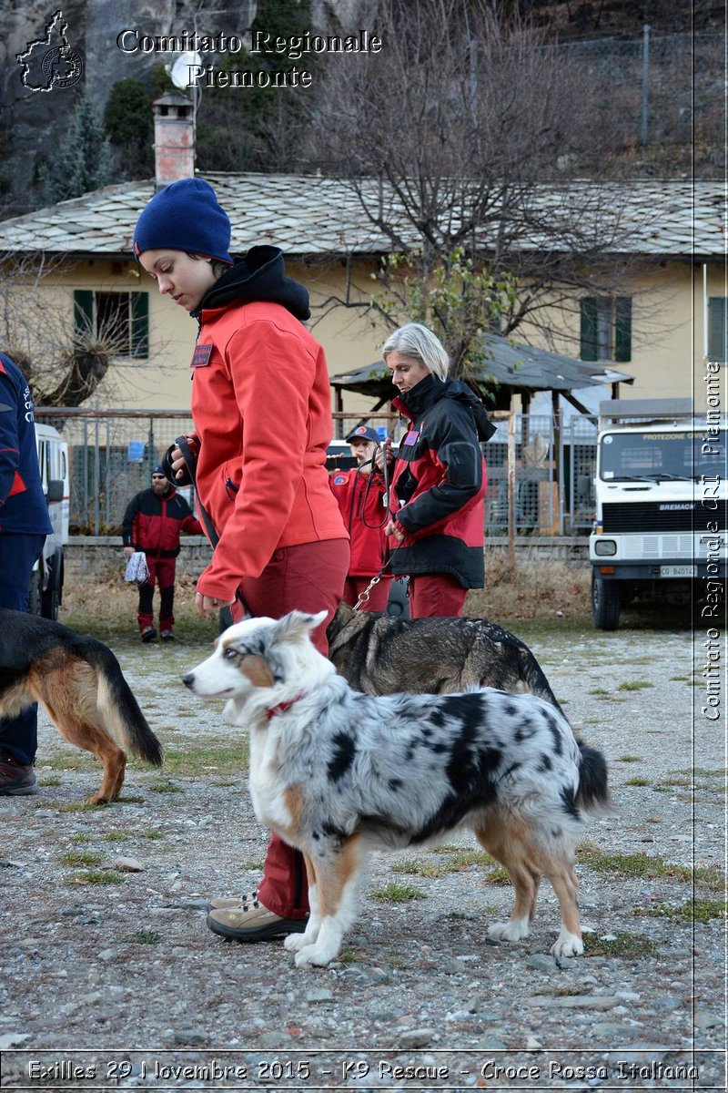 Exilles 29 Novembre 2015 - K9 Rescue - Croce Rossa Italiana- Comitato Regionale del Piemonte