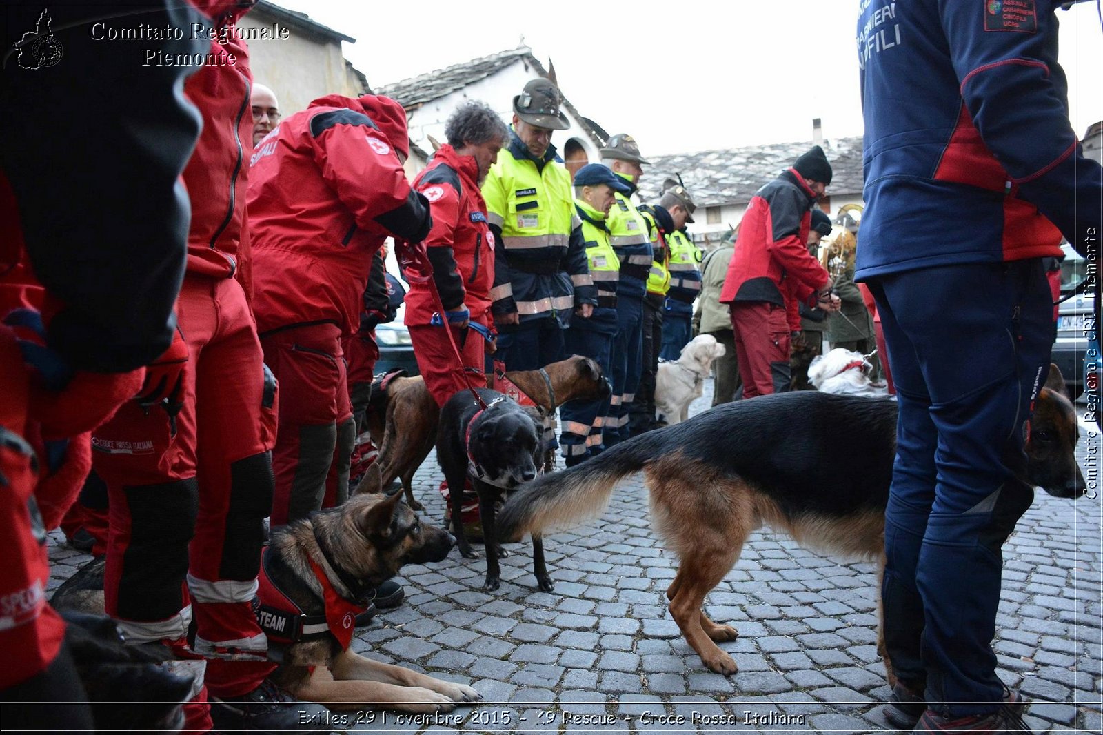 Exilles 29 Novembre 2015 - K9 Rescue - Croce Rossa Italiana- Comitato Regionale del Piemonte