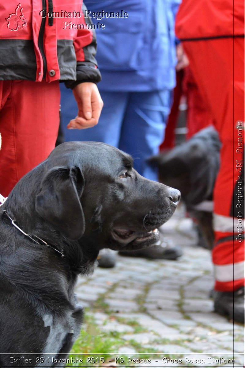 Exilles 29 Novembre 2015 - K9 Rescue - Croce Rossa Italiana- Comitato Regionale del Piemonte