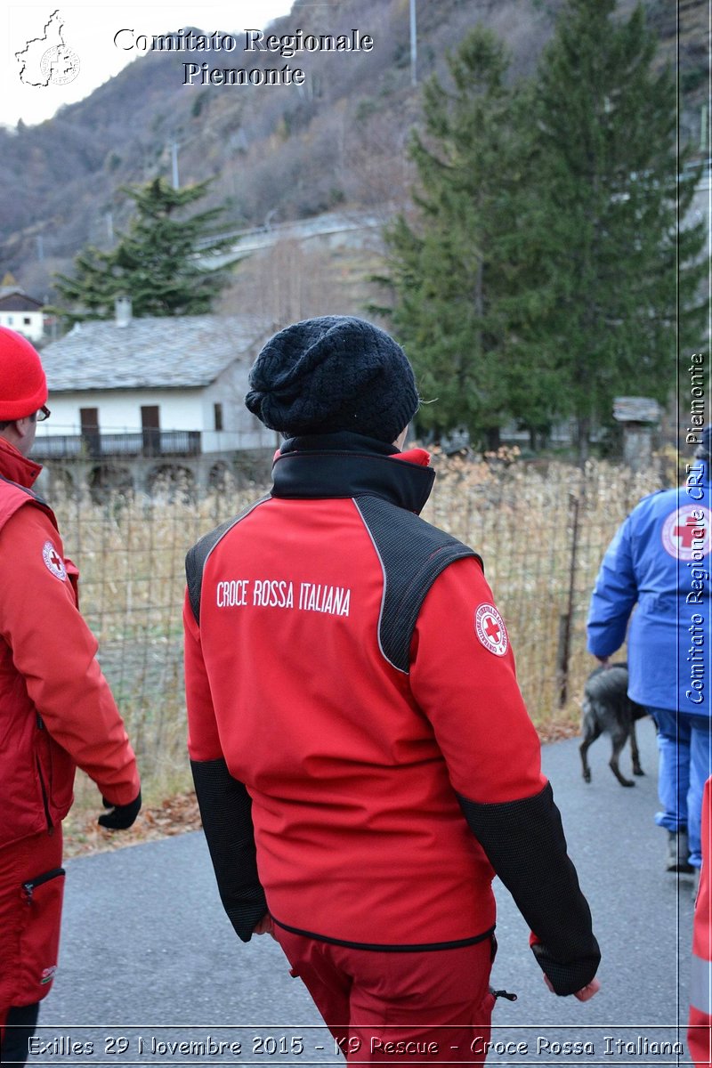 Exilles 29 Novembre 2015 - K9 Rescue - Croce Rossa Italiana- Comitato Regionale del Piemonte