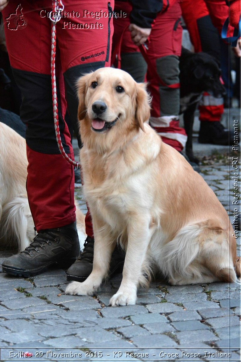 Exilles 29 Novembre 2015 - K9 Rescue - Croce Rossa Italiana- Comitato Regionale del Piemonte