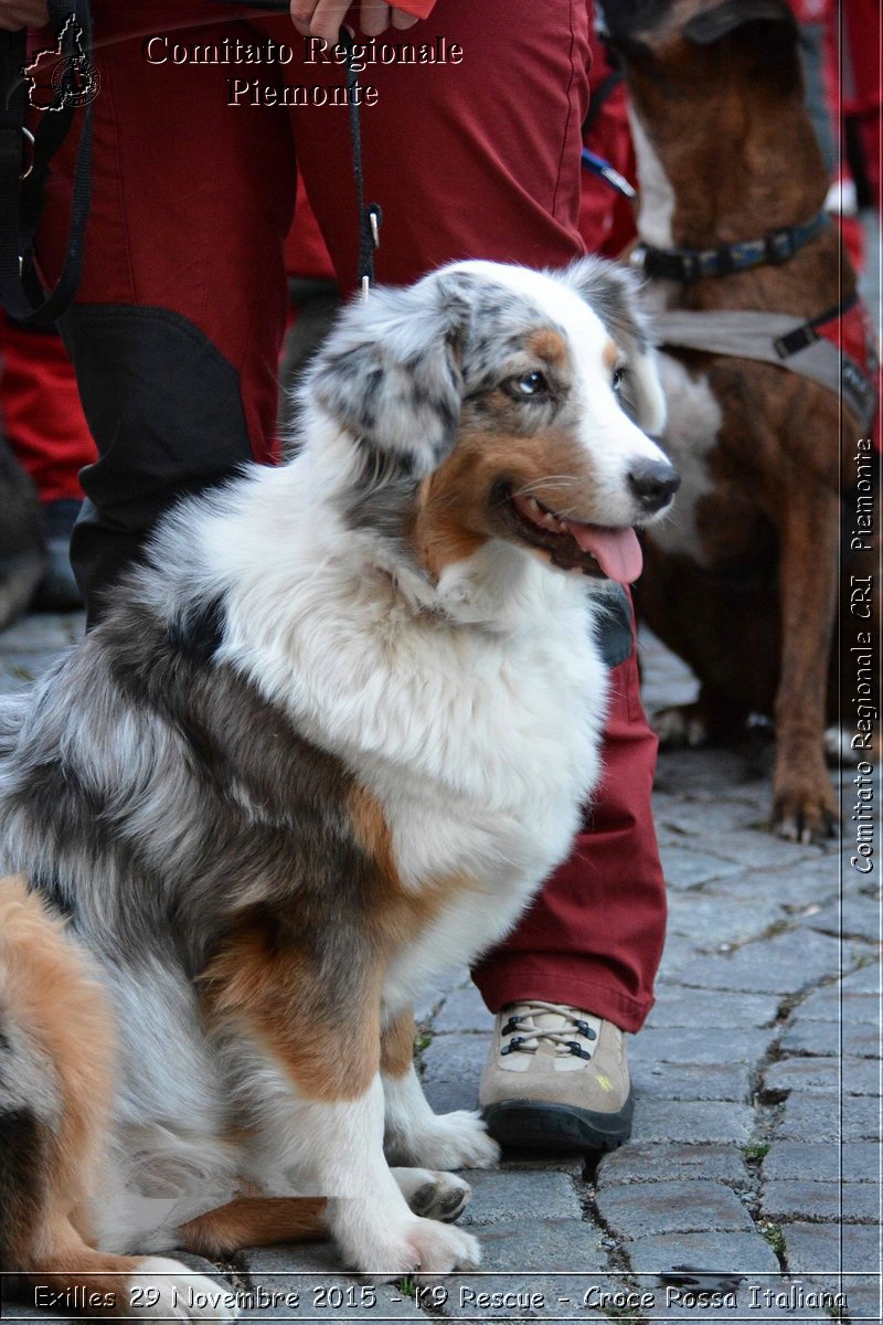 Exilles 29 Novembre 2015 - K9 Rescue - Croce Rossa Italiana- Comitato Regionale del Piemonte