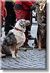 Exilles 29 Novembre 2015 - K9 Rescue - Croce Rossa Italiana- Comitato Regionale del Piemonte