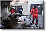 Exilles 29 Novembre 2015 - K9 Rescue - Croce Rossa Italiana- Comitato Regionale del Piemonte