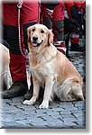 Exilles 29 Novembre 2015 - K9 Rescue - Croce Rossa Italiana- Comitato Regionale del Piemonte