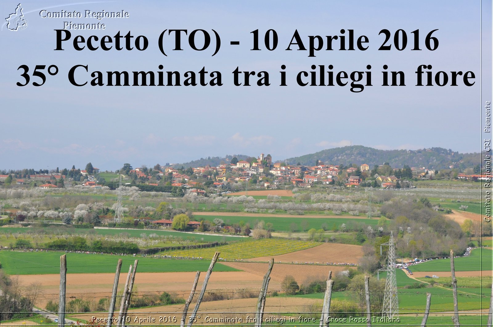 Pecetto 10 Aprile 2016 - 35 Camminata fra i ciliegi in fiore - Croce Rossa Italiana- Comitato Regionale del Piemonte