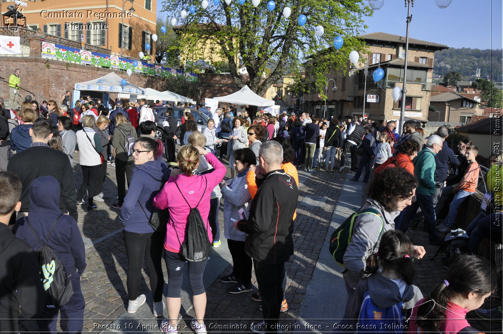 Pecetto 10 Aprile 2016 - 35 Camminata fra i ciliegi in fiore - Croce Rossa Italiana- Comitato Regionale del Piemonte