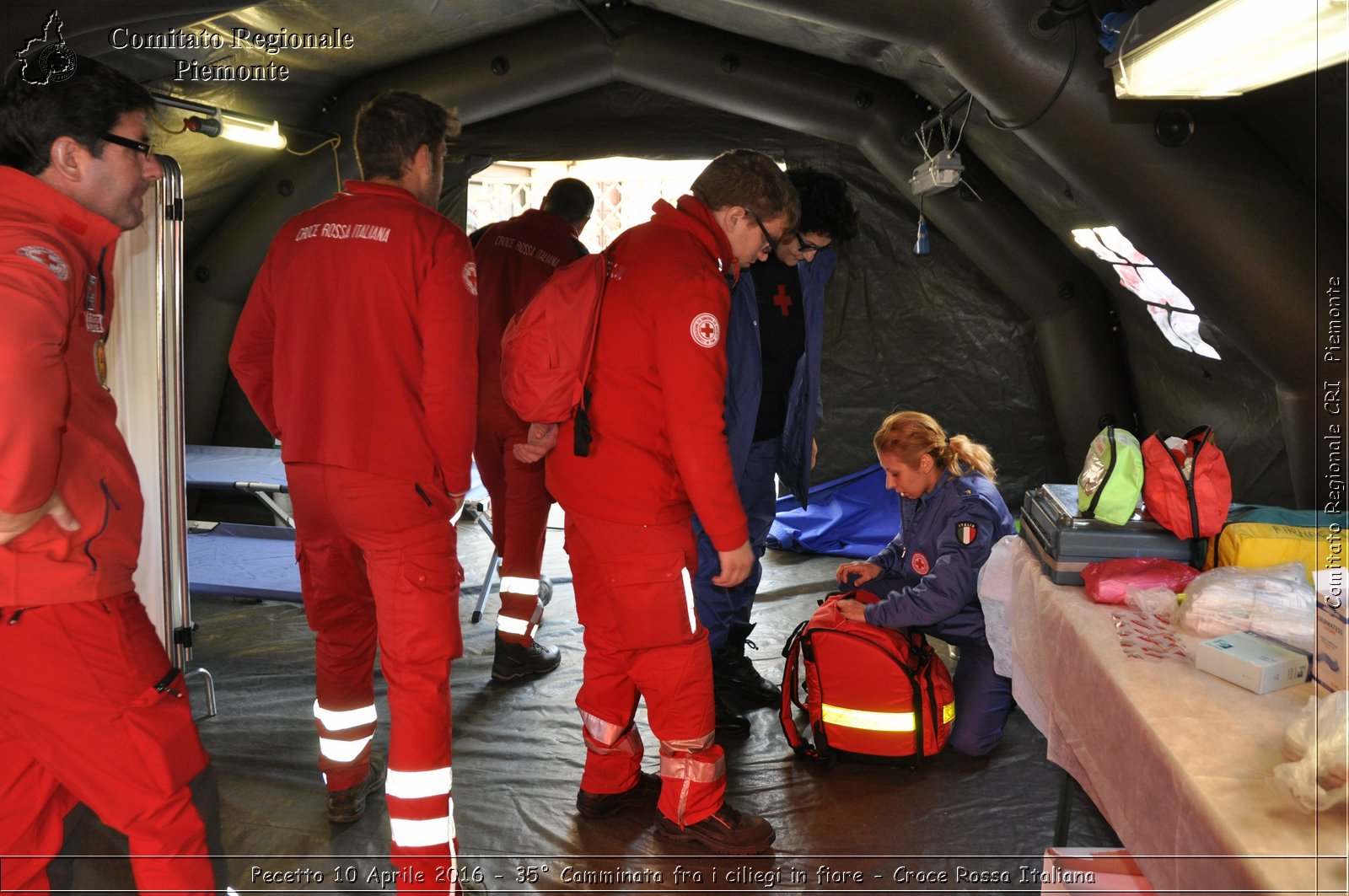 Pecetto 10 Aprile 2016 - 35 Camminata fra i ciliegi in fiore - Croce Rossa Italiana- Comitato Regionale del Piemonte