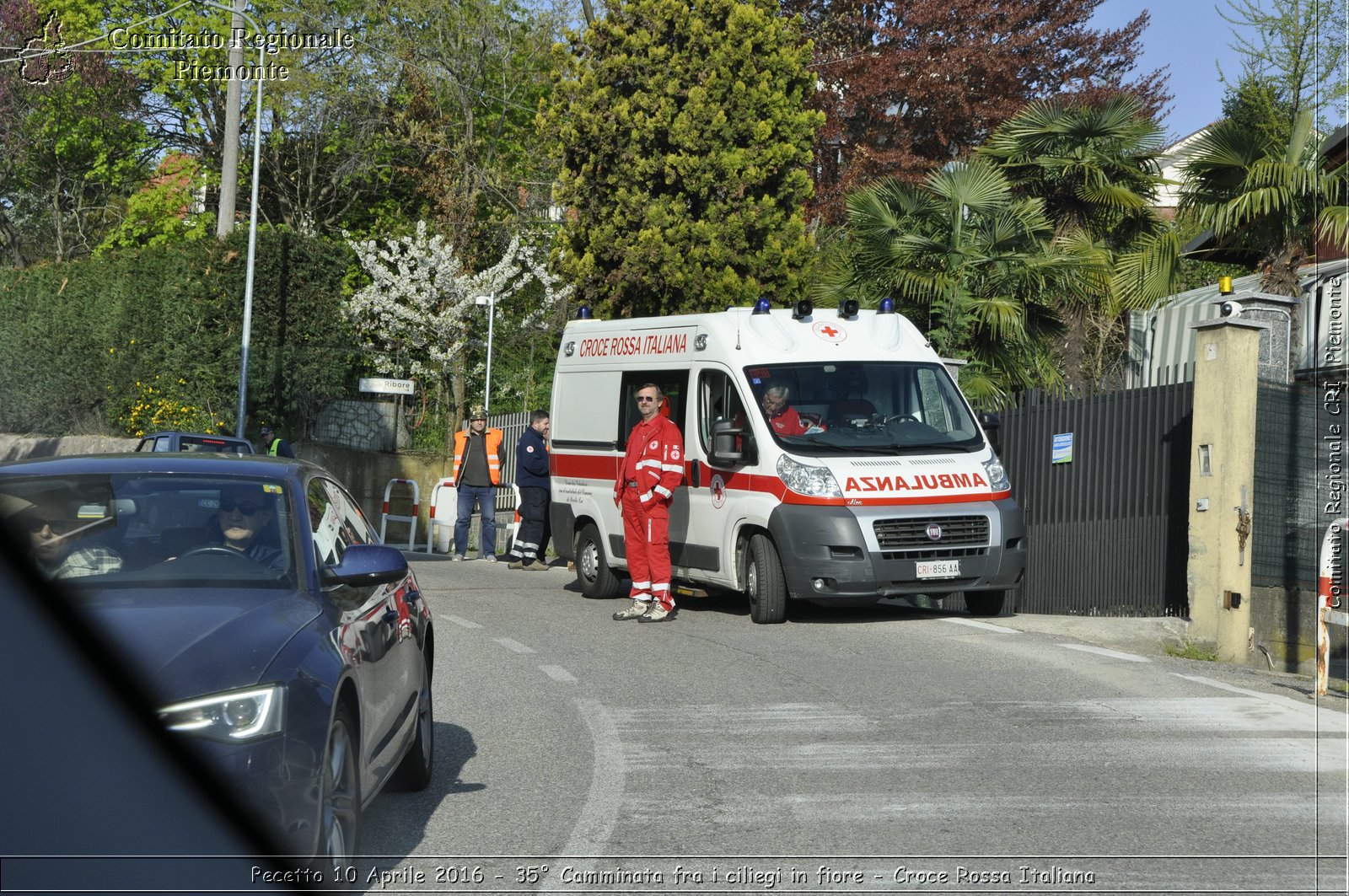 Pecetto 10 Aprile 2016 - 35 Camminata fra i ciliegi in fiore - Croce Rossa Italiana- Comitato Regionale del Piemonte