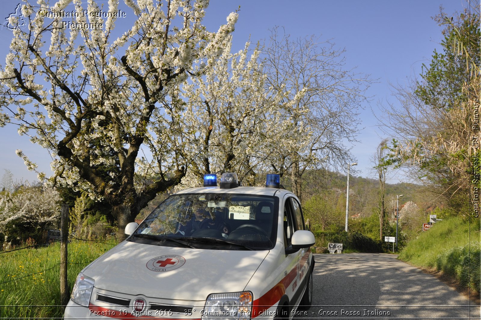 Pecetto 10 Aprile 2016 - 35 Camminata fra i ciliegi in fiore - Croce Rossa Italiana- Comitato Regionale del Piemonte