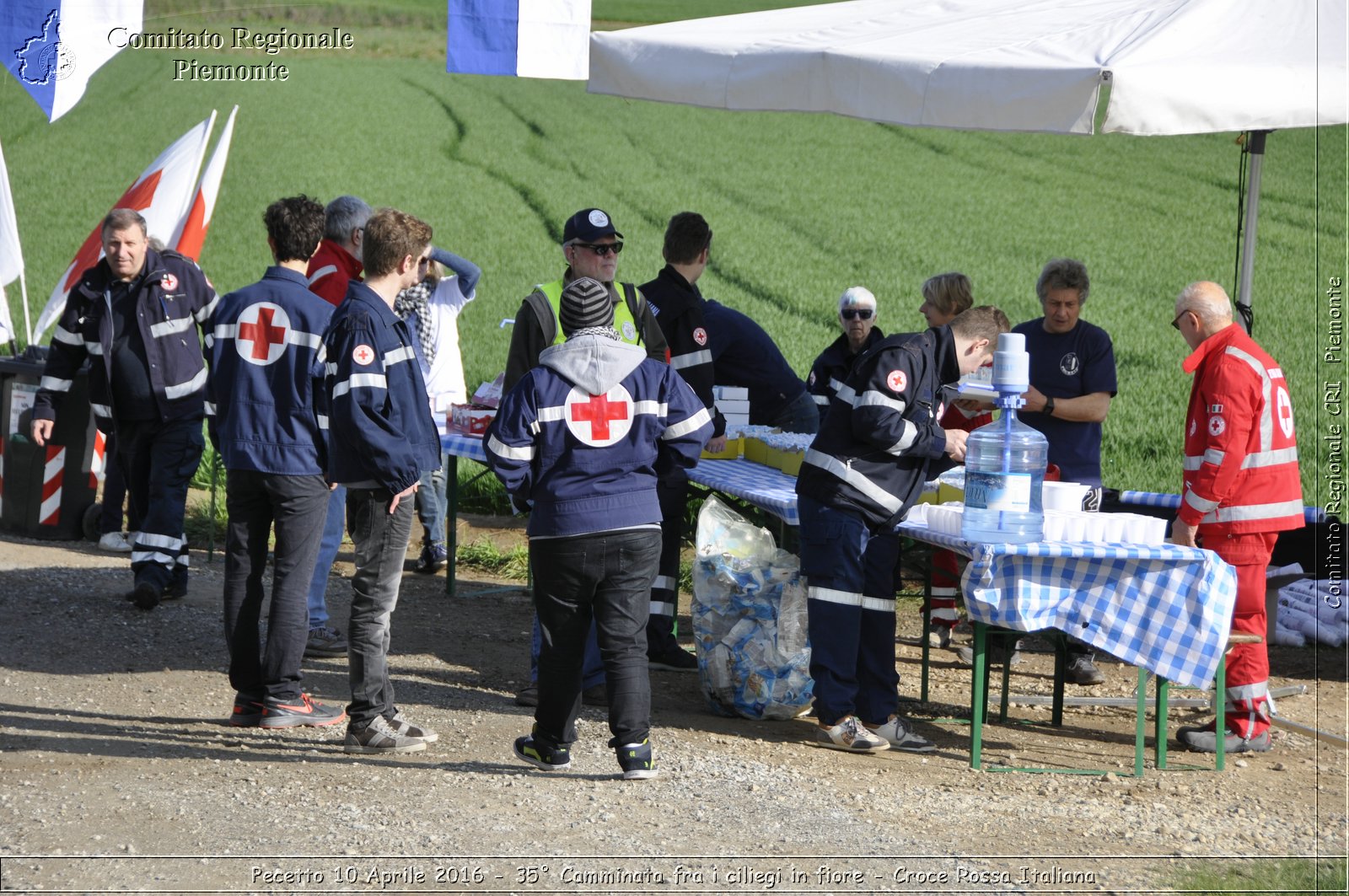 Pecetto 10 Aprile 2016 - 35 Camminata fra i ciliegi in fiore - Croce Rossa Italiana- Comitato Regionale del Piemonte