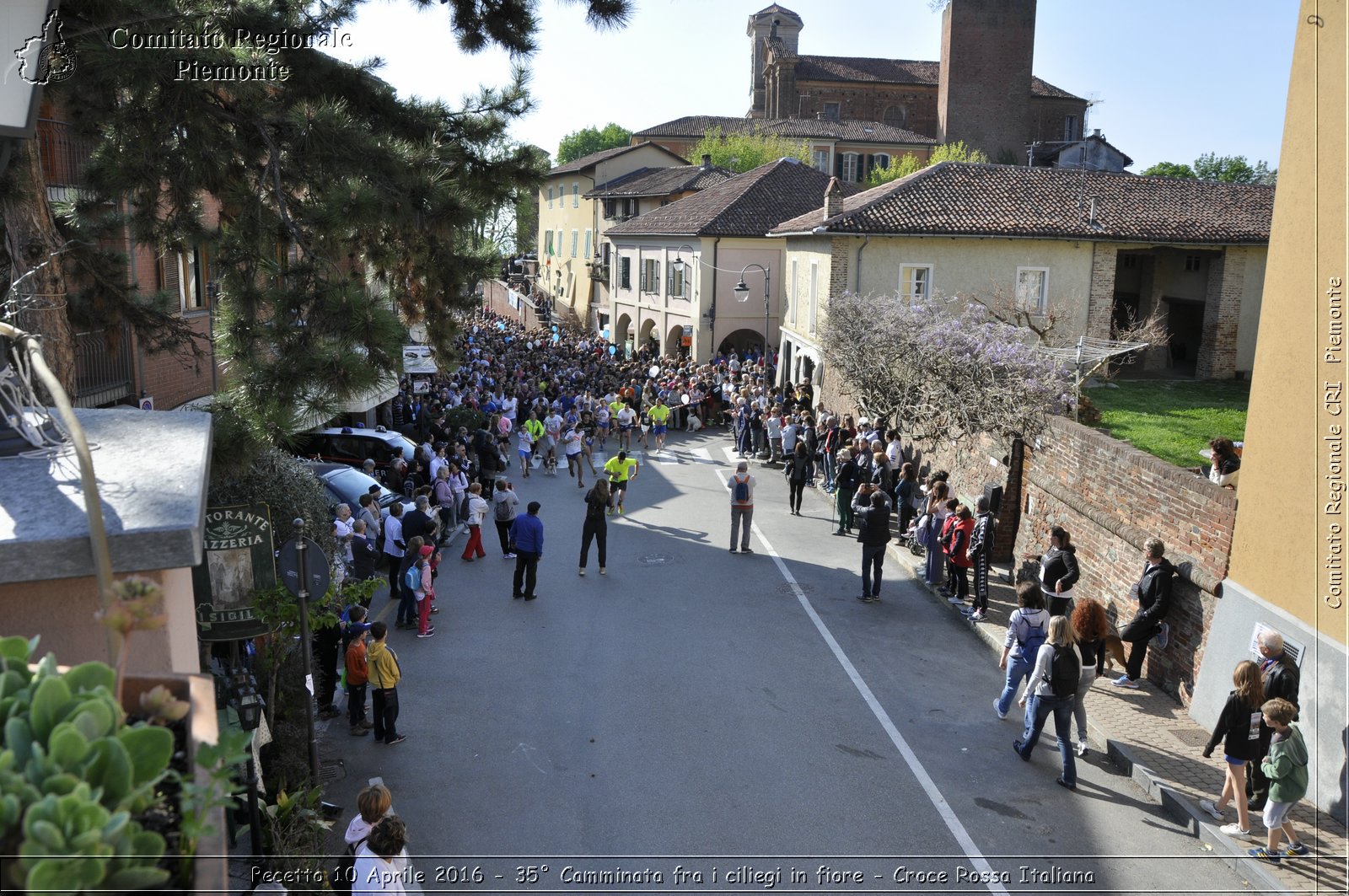 Pecetto 10 Aprile 2016 - 35 Camminata fra i ciliegi in fiore - Croce Rossa Italiana- Comitato Regionale del Piemonte