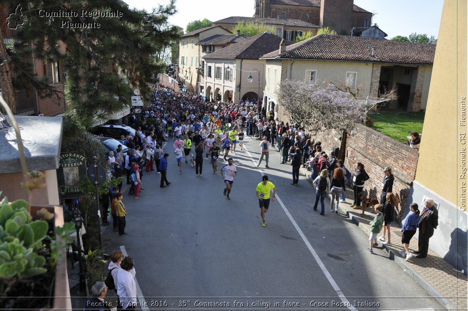 Pecetto 10 Aprile 2016 - 35 Camminata fra i ciliegi in fiore - Croce Rossa Italiana- Comitato Regionale del Piemonte