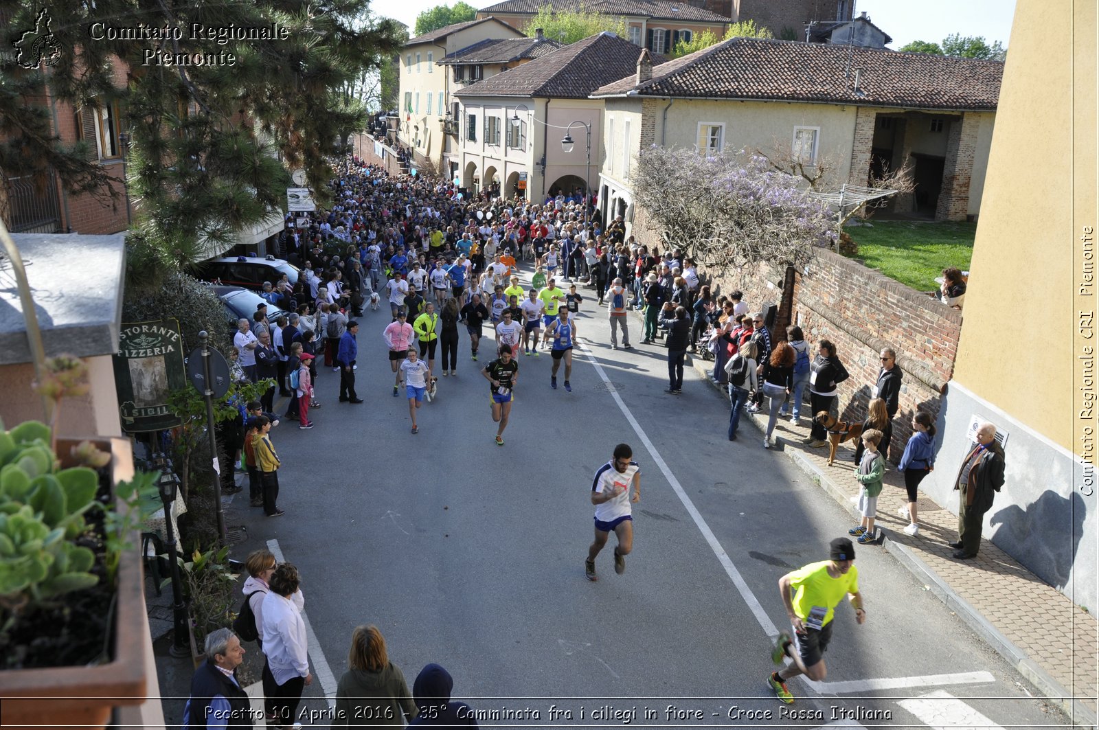 Pecetto 10 Aprile 2016 - 35 Camminata fra i ciliegi in fiore - Croce Rossa Italiana- Comitato Regionale del Piemonte