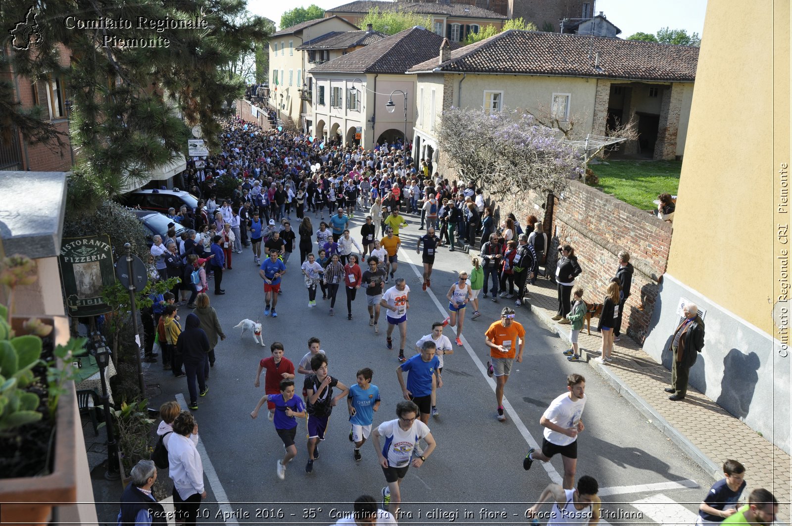 Pecetto 10 Aprile 2016 - 35 Camminata fra i ciliegi in fiore - Croce Rossa Italiana- Comitato Regionale del Piemonte