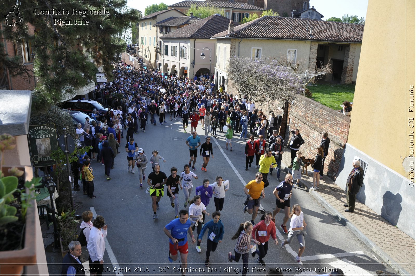 Pecetto 10 Aprile 2016 - 35 Camminata fra i ciliegi in fiore - Croce Rossa Italiana- Comitato Regionale del Piemonte