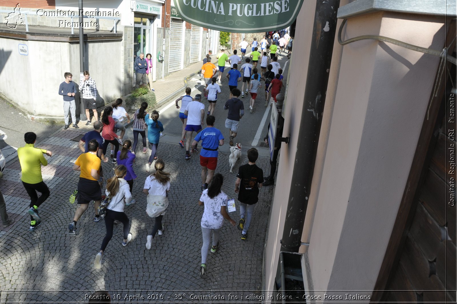 Pecetto 10 Aprile 2016 - 35 Camminata fra i ciliegi in fiore - Croce Rossa Italiana- Comitato Regionale del Piemonte