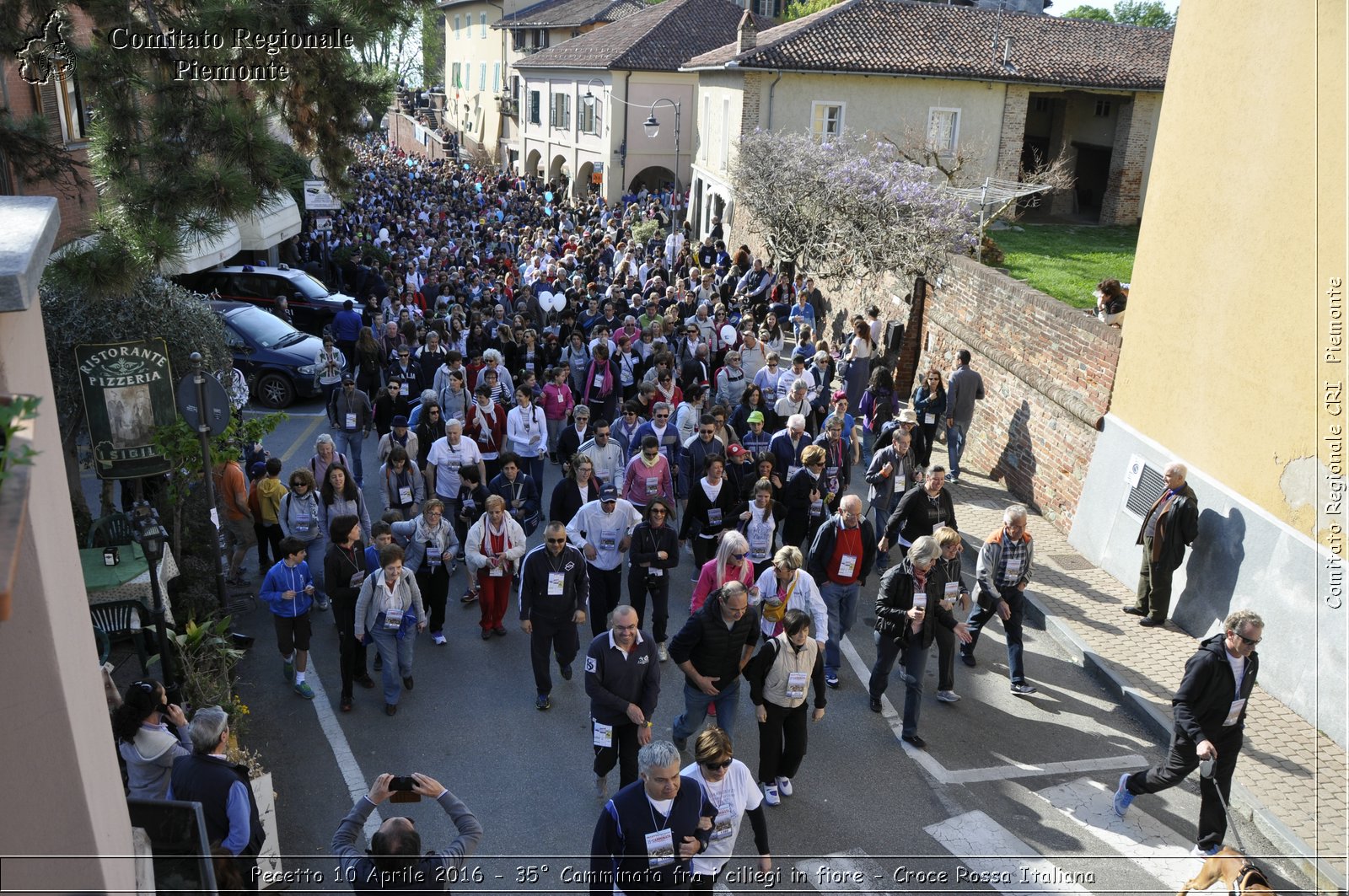 Pecetto 10 Aprile 2016 - 35 Camminata fra i ciliegi in fiore - Croce Rossa Italiana- Comitato Regionale del Piemonte