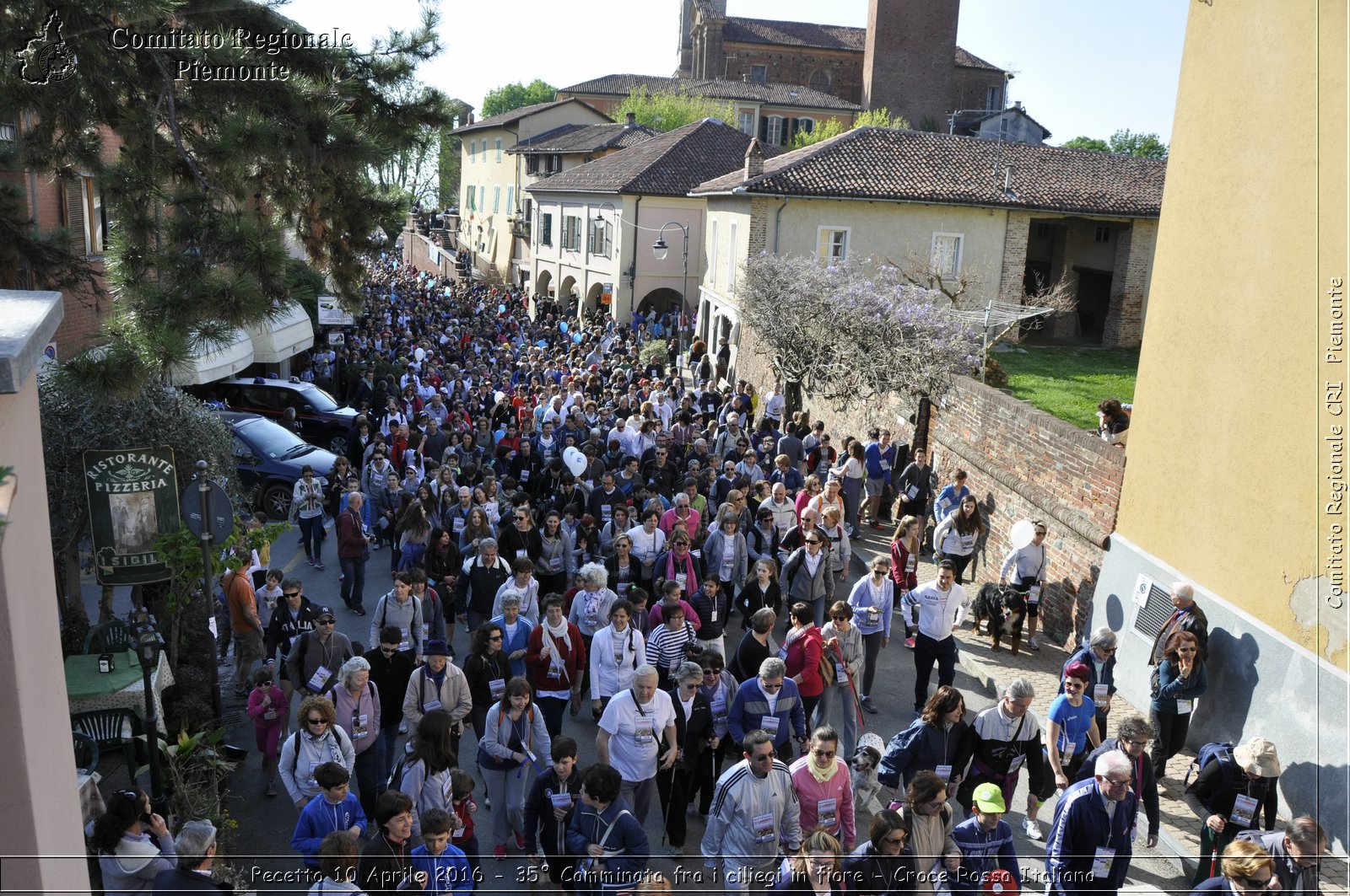 Pecetto 10 Aprile 2016 - 35 Camminata fra i ciliegi in fiore - Croce Rossa Italiana- Comitato Regionale del Piemonte