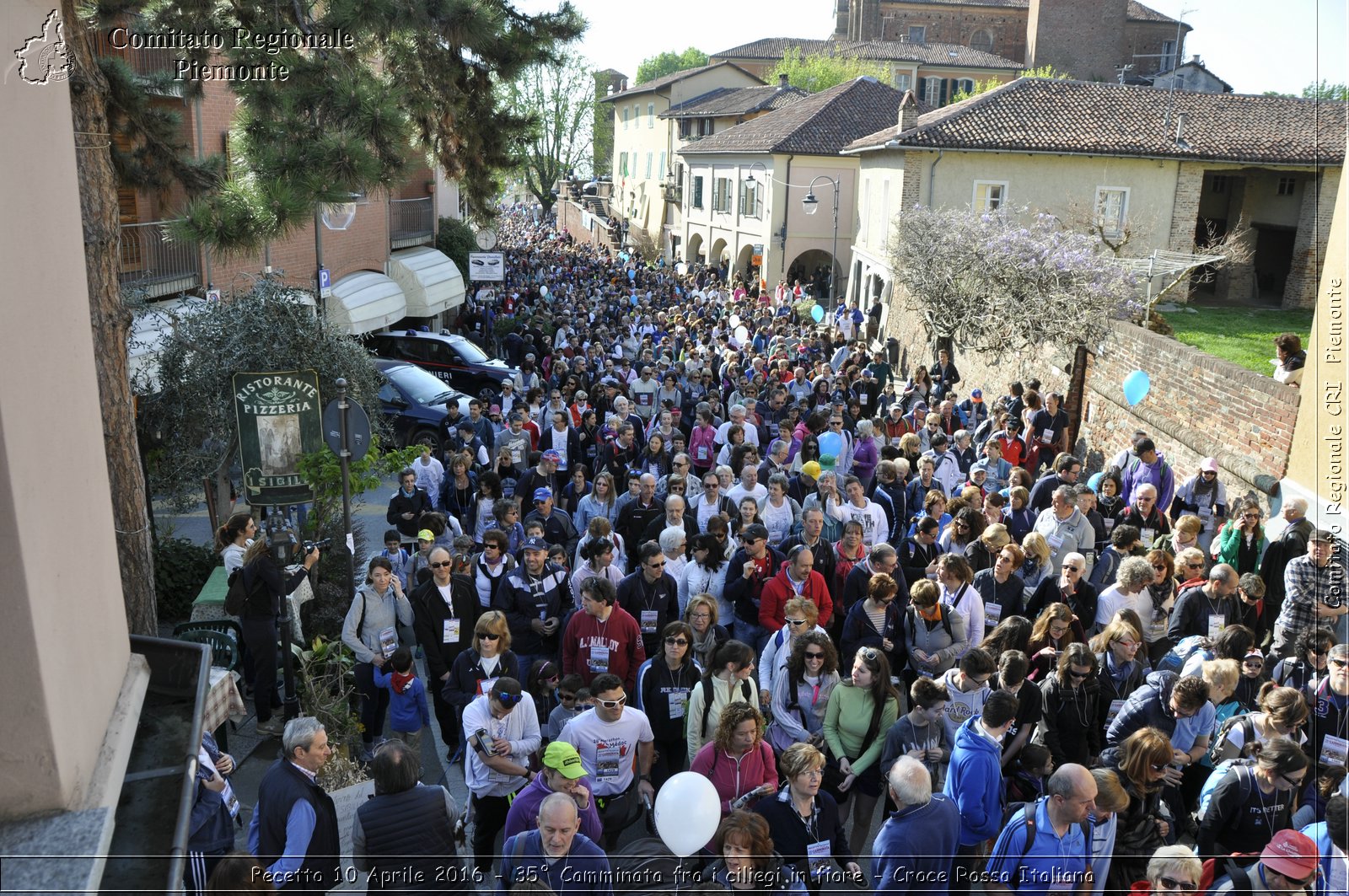 Pecetto 10 Aprile 2016 - 35 Camminata fra i ciliegi in fiore - Croce Rossa Italiana- Comitato Regionale del Piemonte