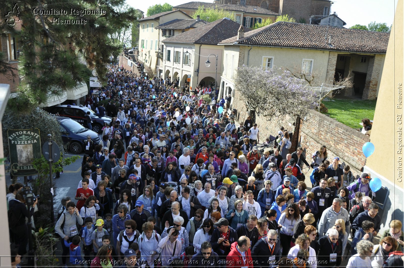 Pecetto 10 Aprile 2016 - 35 Camminata fra i ciliegi in fiore - Croce Rossa Italiana- Comitato Regionale del Piemonte