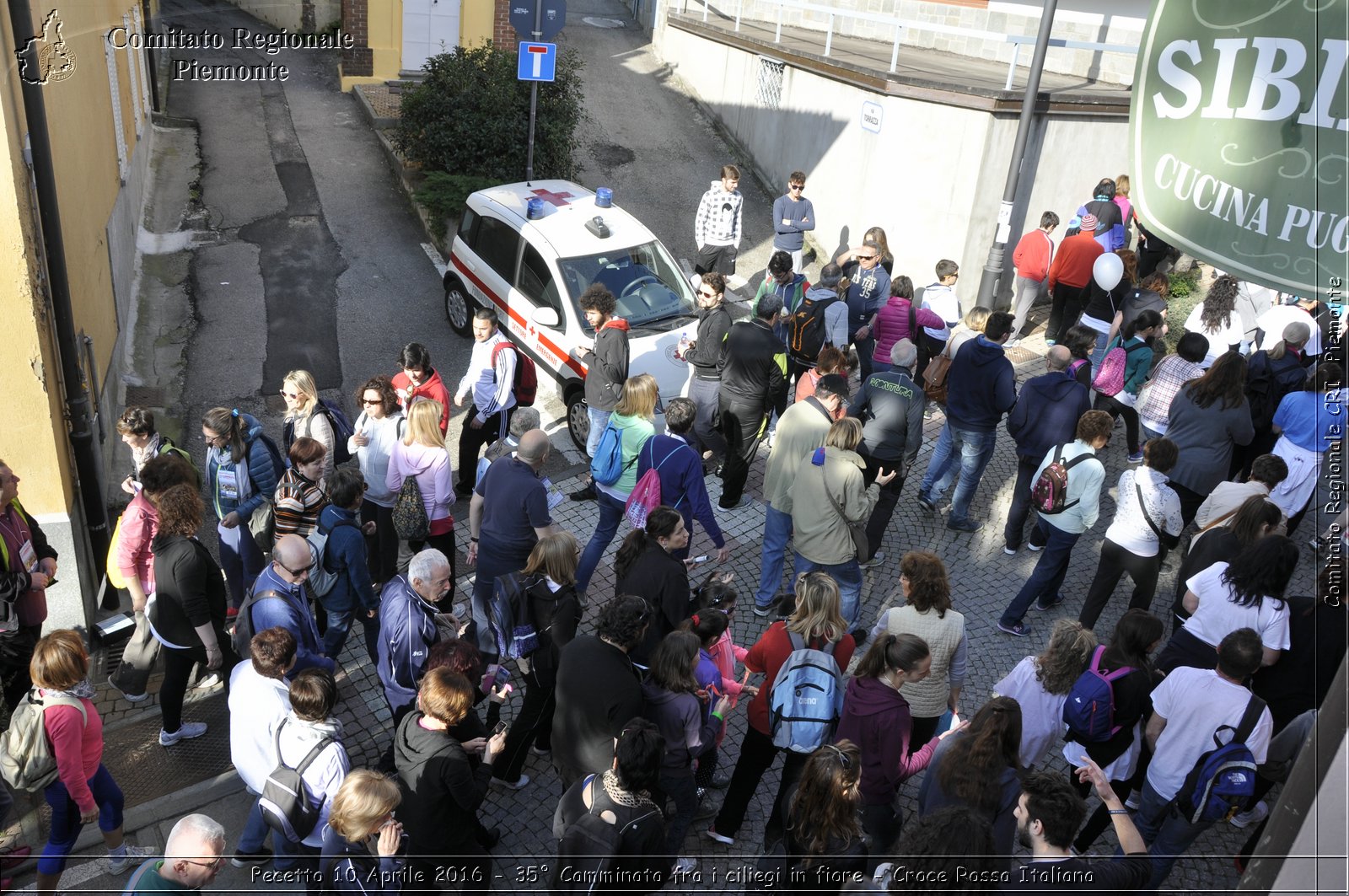 Pecetto 10 Aprile 2016 - 35 Camminata fra i ciliegi in fiore - Croce Rossa Italiana- Comitato Regionale del Piemonte