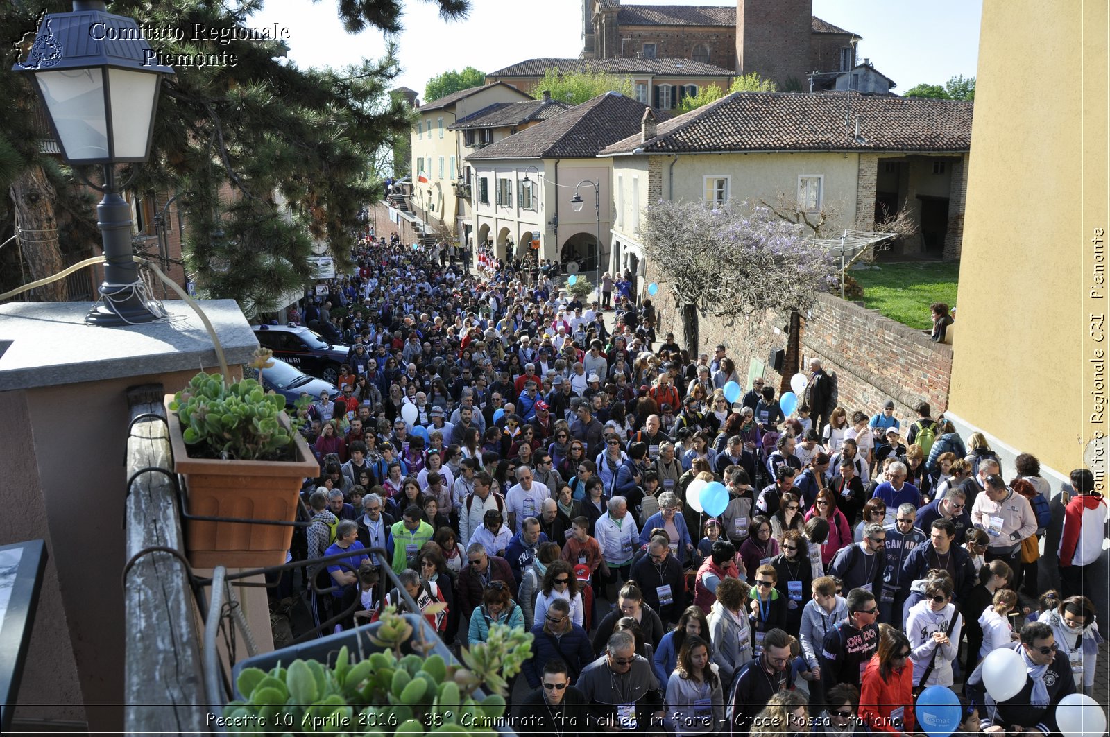 Pecetto 10 Aprile 2016 - 35 Camminata fra i ciliegi in fiore - Croce Rossa Italiana- Comitato Regionale del Piemonte