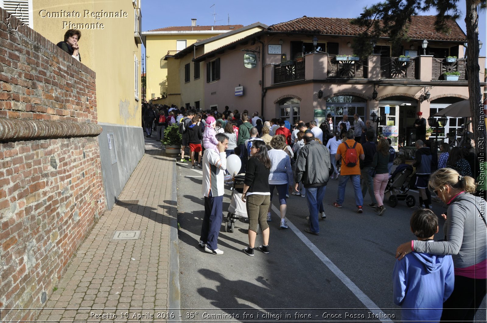 Pecetto 10 Aprile 2016 - 35 Camminata fra i ciliegi in fiore - Croce Rossa Italiana- Comitato Regionale del Piemonte