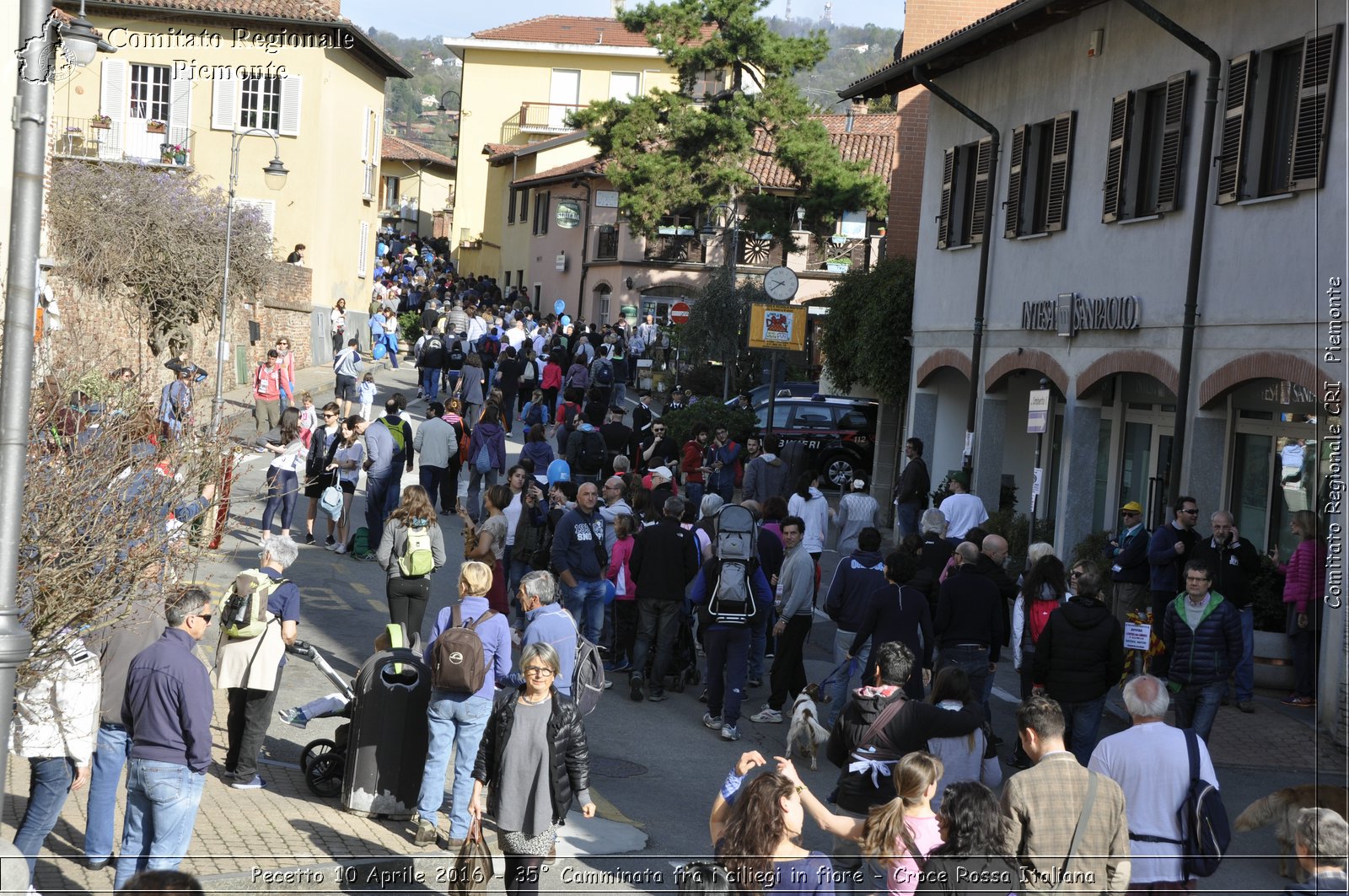 Pecetto 10 Aprile 2016 - 35 Camminata fra i ciliegi in fiore - Croce Rossa Italiana- Comitato Regionale del Piemonte