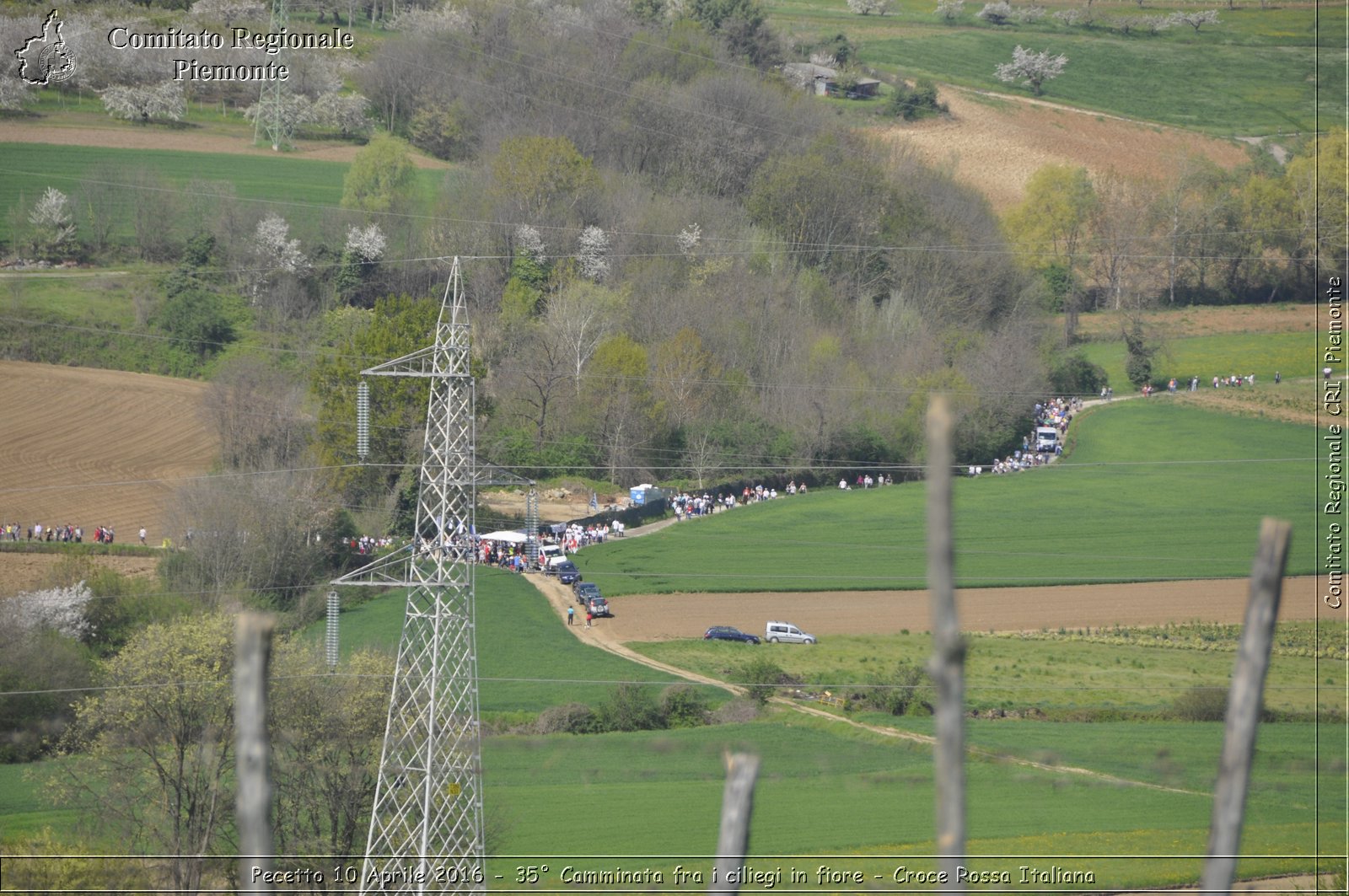 Pecetto 10 Aprile 2016 - 35 Camminata fra i ciliegi in fiore - Croce Rossa Italiana- Comitato Regionale del Piemonte