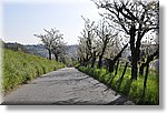 Pecetto 10 Aprile 2016 - 35° Camminata fra i ciliegi in fiore - Croce Rossa Italiana- Comitato Regionale del Piemonte