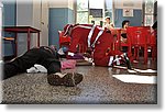 Domodossola 3 Luglio 2016 - Gara Regionale di Primo Soccorso - Croce Rossa Italiana- Comitato Regionale del Piemonte