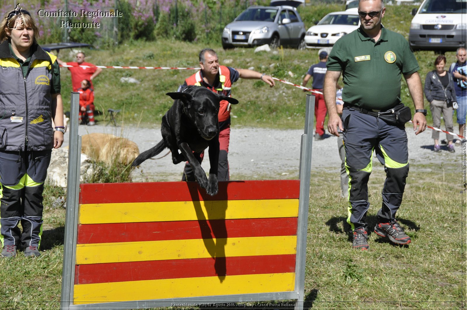 Pontechianale (CN) 7 Agosto 2016 - Dog Day - Croce Rossa Italiana - Comitato Regionale del Piemonte