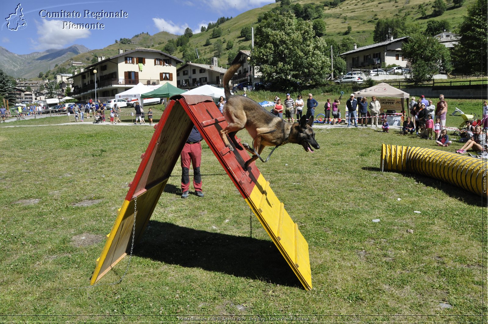 Pontechianale (CN) 7 Agosto 2016 - Dog Day - Croce Rossa Italiana - Comitato Regionale del Piemonte