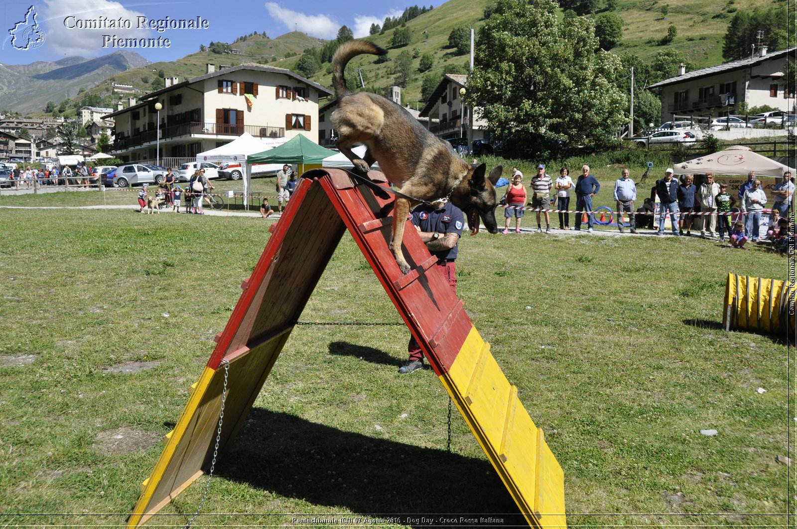 Pontechianale (CN) 7 Agosto 2016 - Dog Day - Croce Rossa Italiana - Comitato Regionale del Piemonte