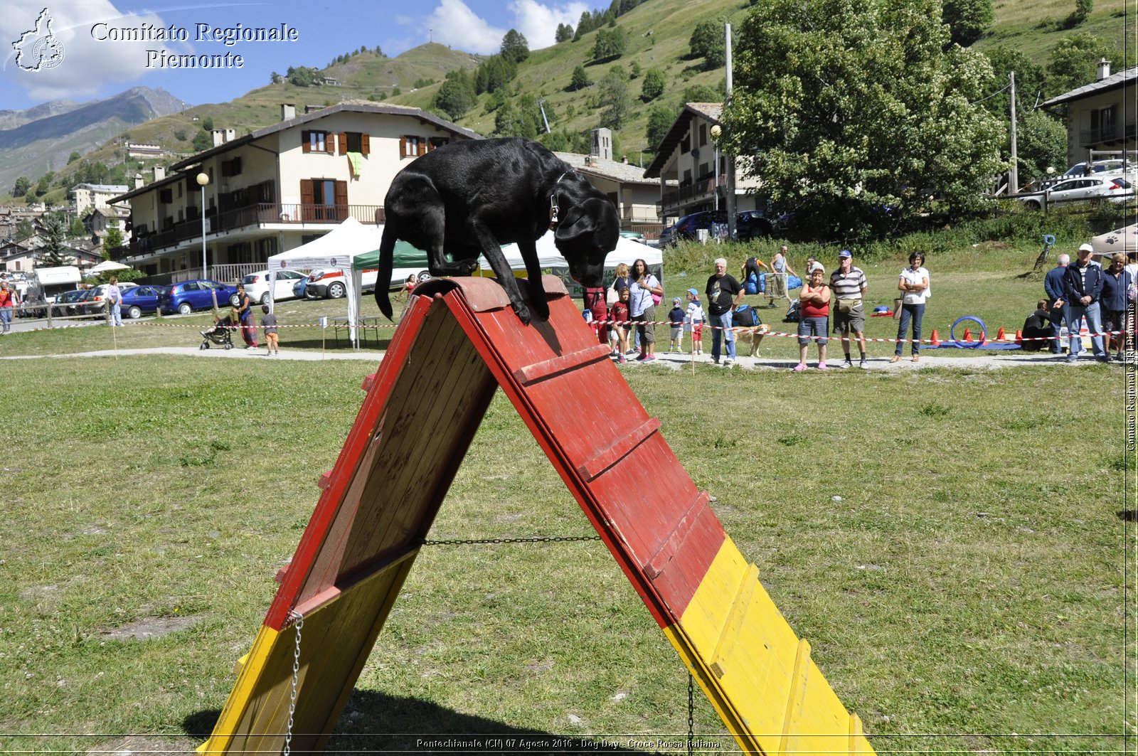 Pontechianale (CN) 7 Agosto 2016 - Dog Day - Croce Rossa Italiana - Comitato Regionale del Piemonte